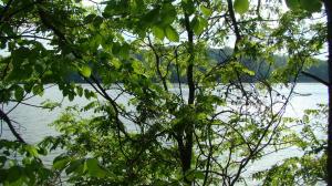 Lot 19 Minnow LN