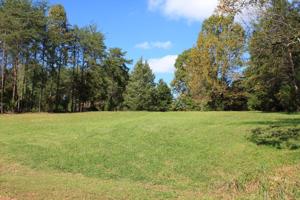 Lot #6 Pine Knob CIR
