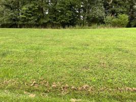 Lot 44 Cambridge CT