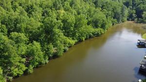 Grimes Creek LN