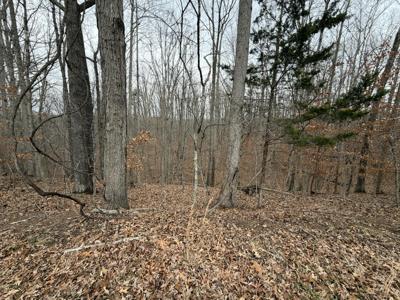 Lot 25 OAK HOLLOW RD