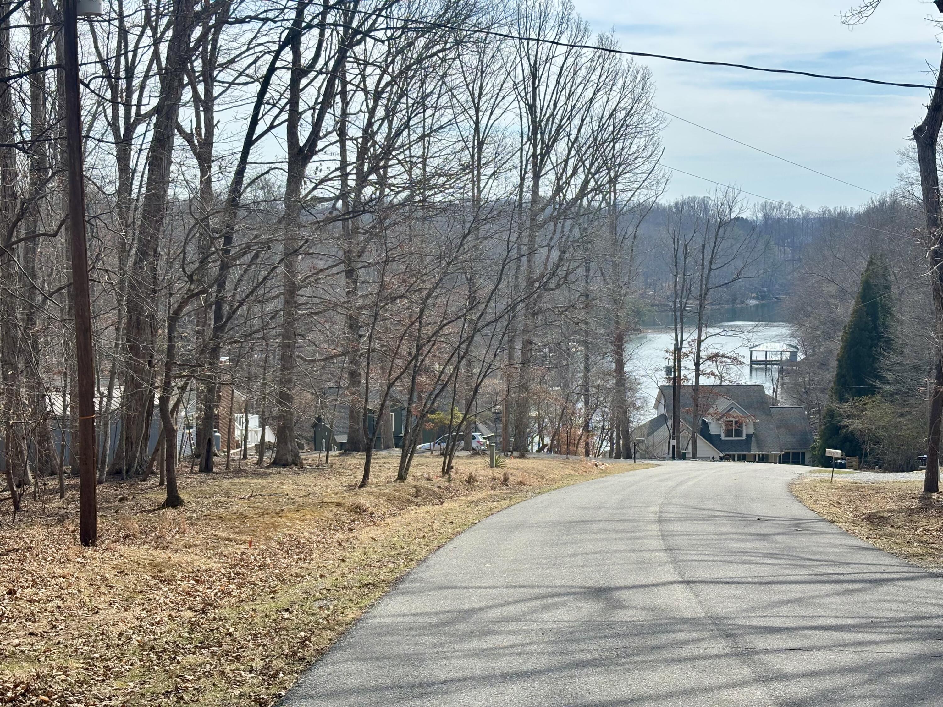 Image 1: IMG_7343