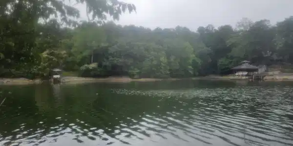 Lot 4 Longview Estates DR