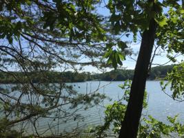 Lot 55 BLAZING RIDGE DR