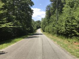 Lot 14 Ivy LN