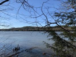 Lot 6 Robin Ridge CT