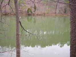 Lot 280 Waterway CT