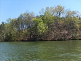 Lot 21 Watchtower DR
