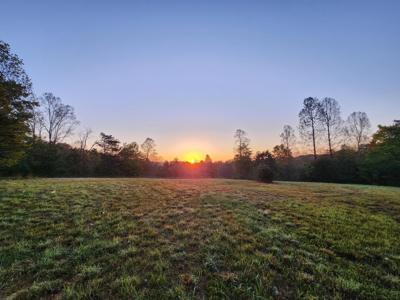 Lot 16 Point DR