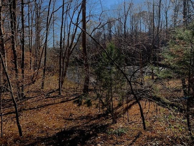 Image 2: lake view