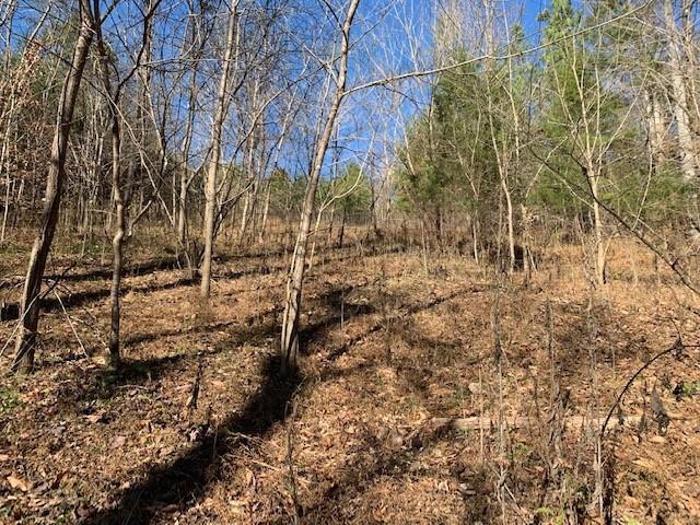 Image 3: Slope 2