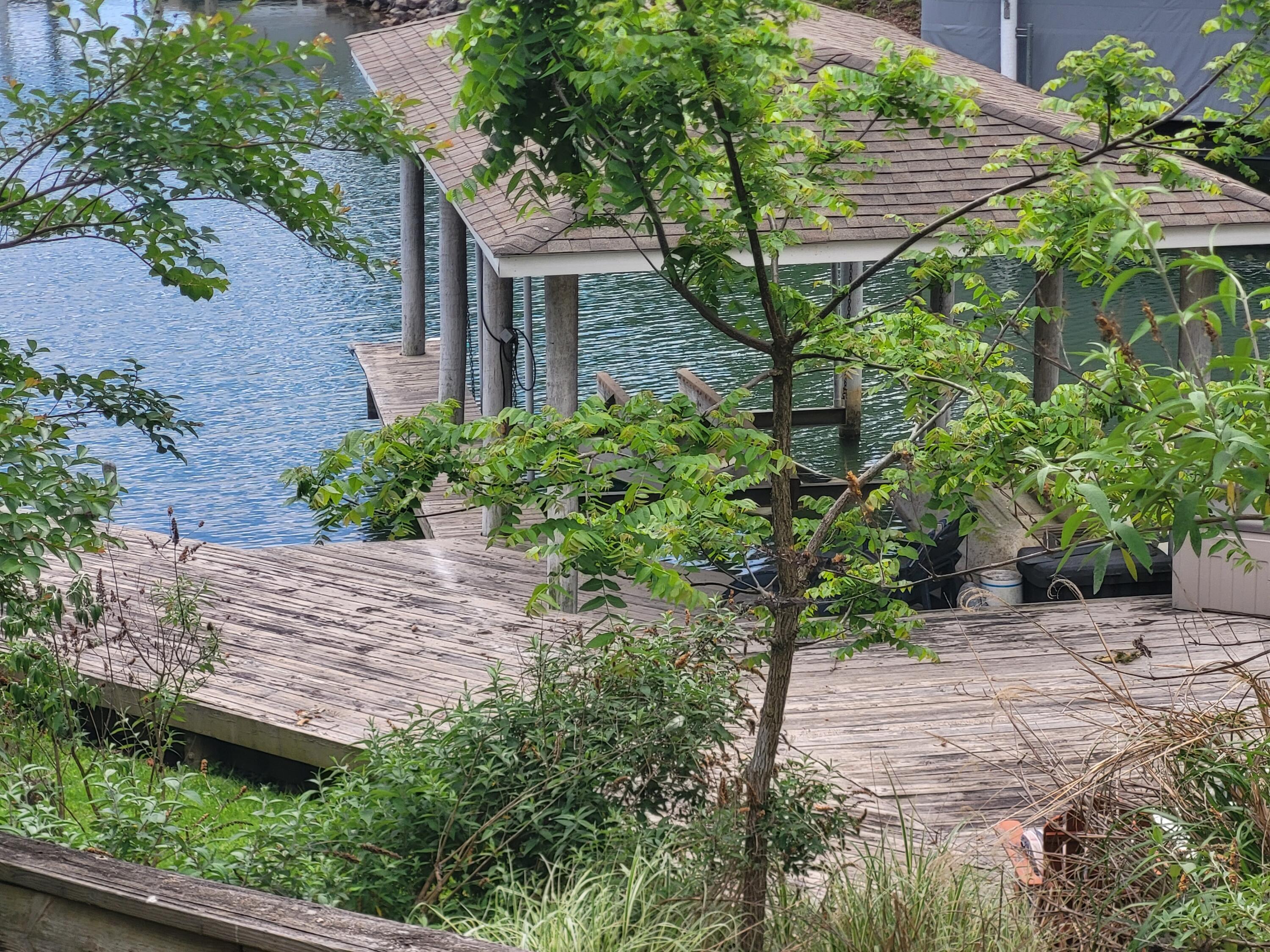 Image 2: Dock