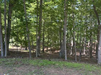 Lot 218A Hunterwood CIR