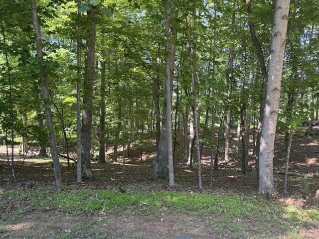 Image 3: IMG_9001