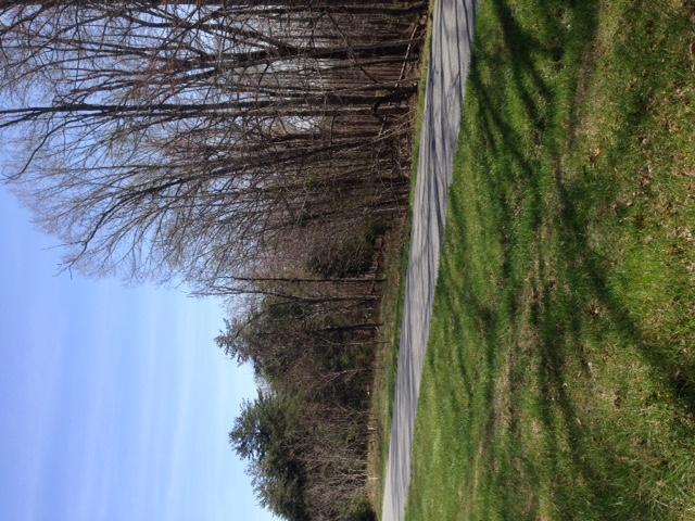 Image 2: Lot 405