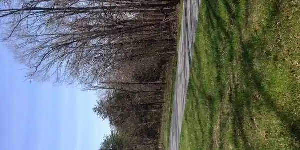 Image 2: Lot 405
