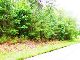 Lot 2 Waterford DR