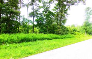 Lot #1 Waterford DR