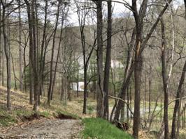 Lot 47 Lakewatch CIR