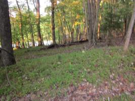 Lot 227 LAKE FRONT CIR