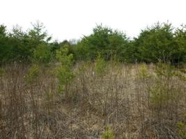 Lot 1 Dillards Hill RD