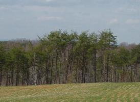 Lot 18 Rolling RD