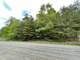 Lot 14 Edgewater DR