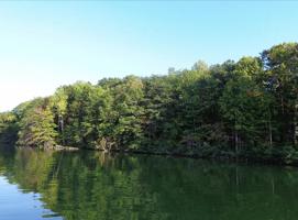 Lot #28 Rosewood LN