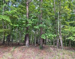 Lot 73 Deerwood DR