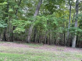 Lot 7 Lochwood AVE