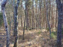 Lot #92 STRIPERS LANDING RD