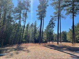 Lot 178 Hidden Cove LN
