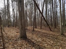 Lot 124 Indian Ridge DR