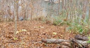 Lot 64 Lakewatch CIR