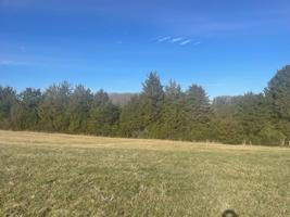 Lot 30 Camellia PL
