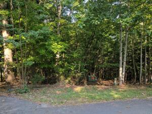 Lot 25 Pointe O Woods DR