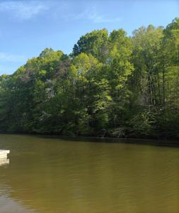 101 Star Lake RD