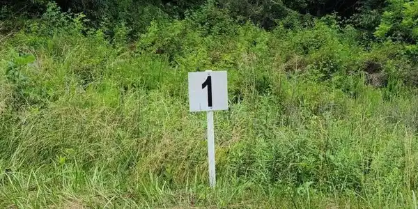 Lot 1 Dillards Hill RD