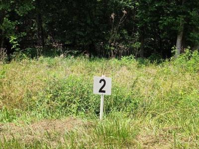 Lot 2 Dillards Hill RD