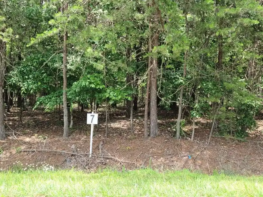 Image 1: Lot 7 Dillards Hill Rd