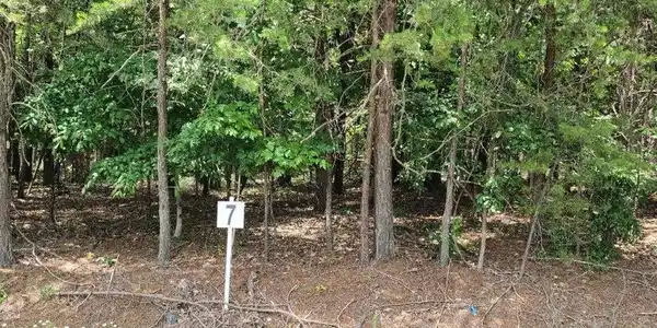 Lot 7 Dillards Hill RD