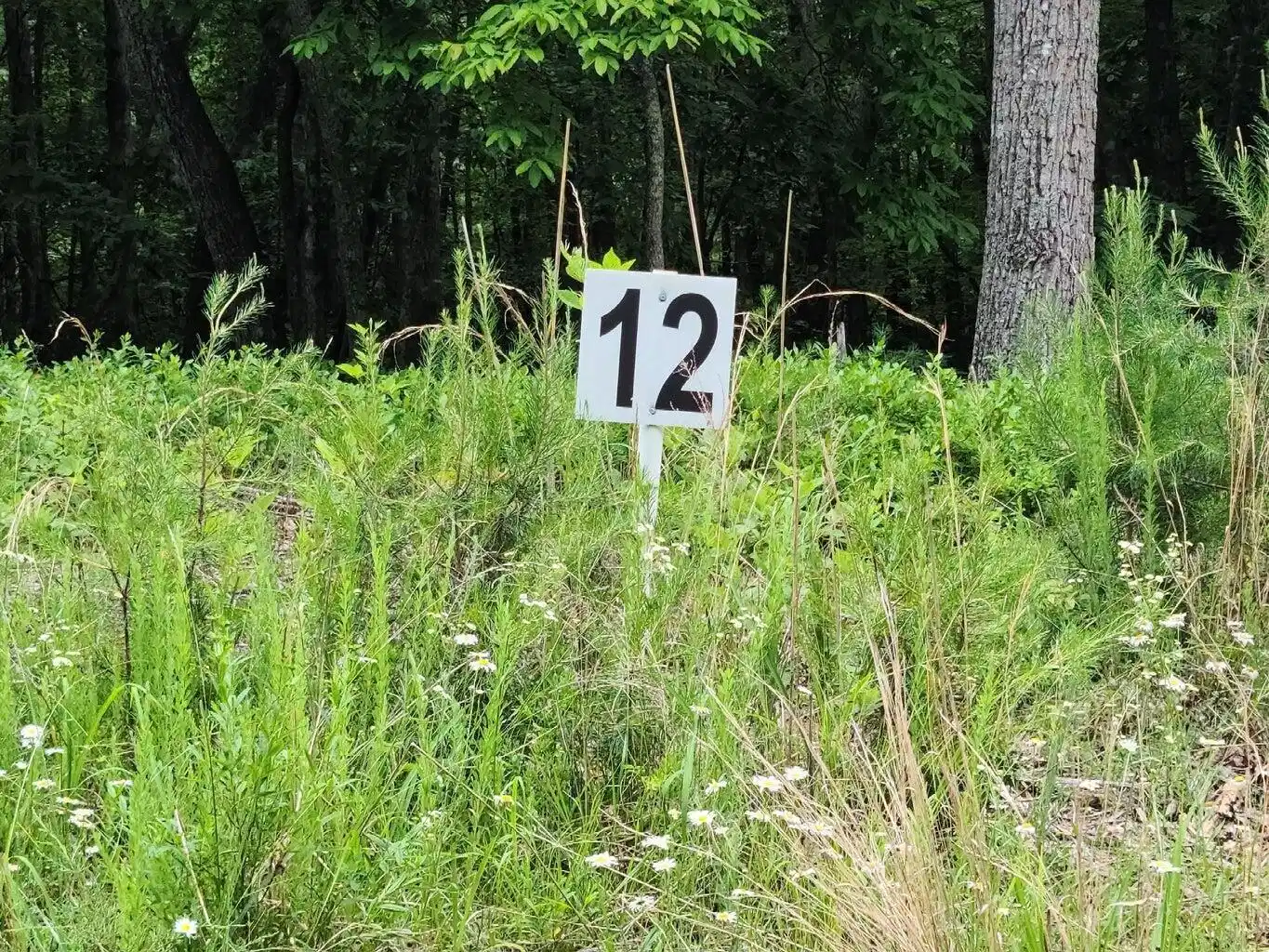 Image 1: Lot 12 Belle Isle Dr