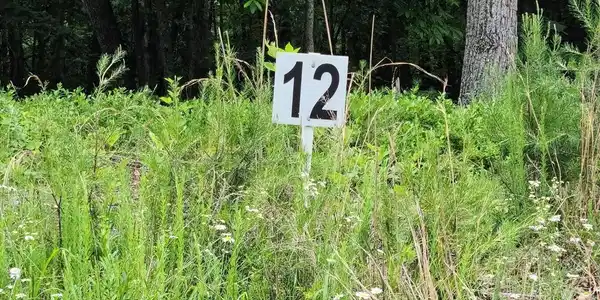 Lot #13 Lot 12 Belle Isle DR