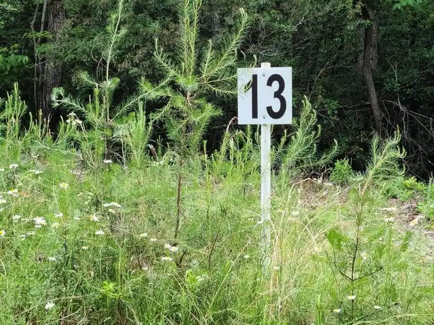 Image 1: Lot 13 Belle Isle Dr