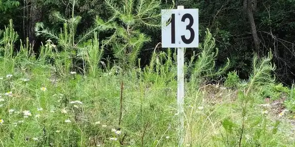 Lot 13 Belle Isle DR