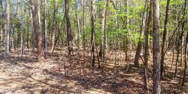 Lot 130 Harbor Landing DR