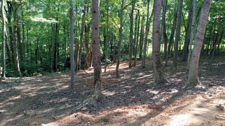 Lot #2 Leeward DR