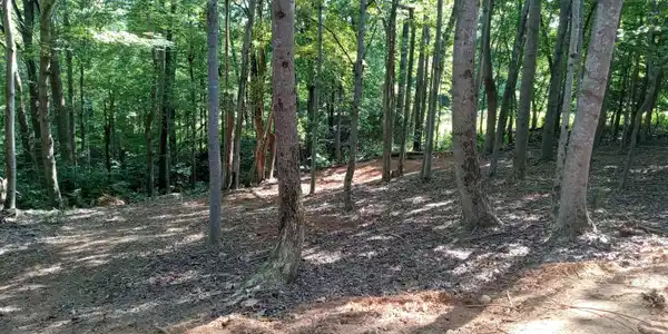 Lot #2 Leeward DR