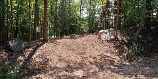 Image 2: driveway