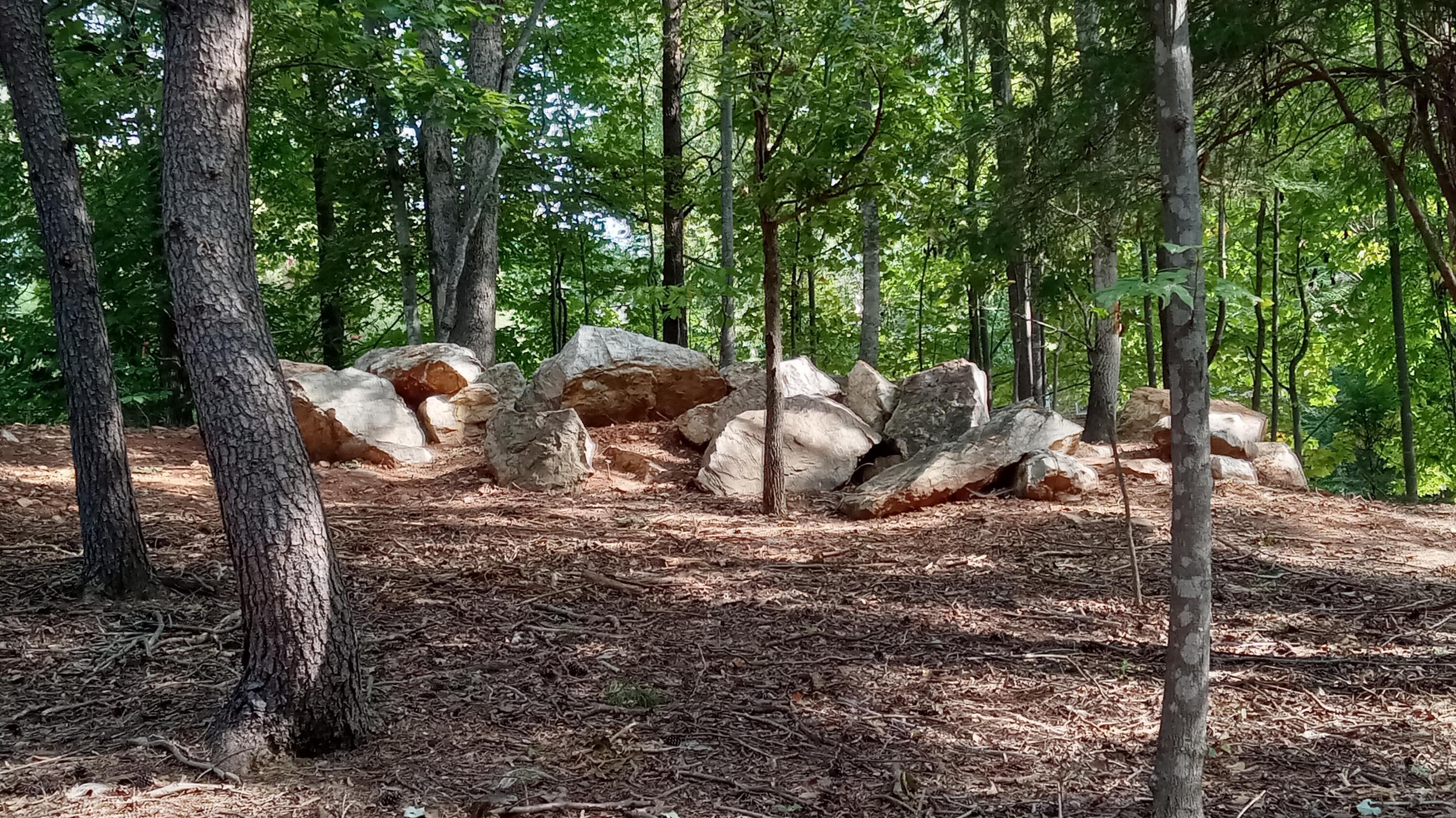 Image 3: rock garden 2024-09-12